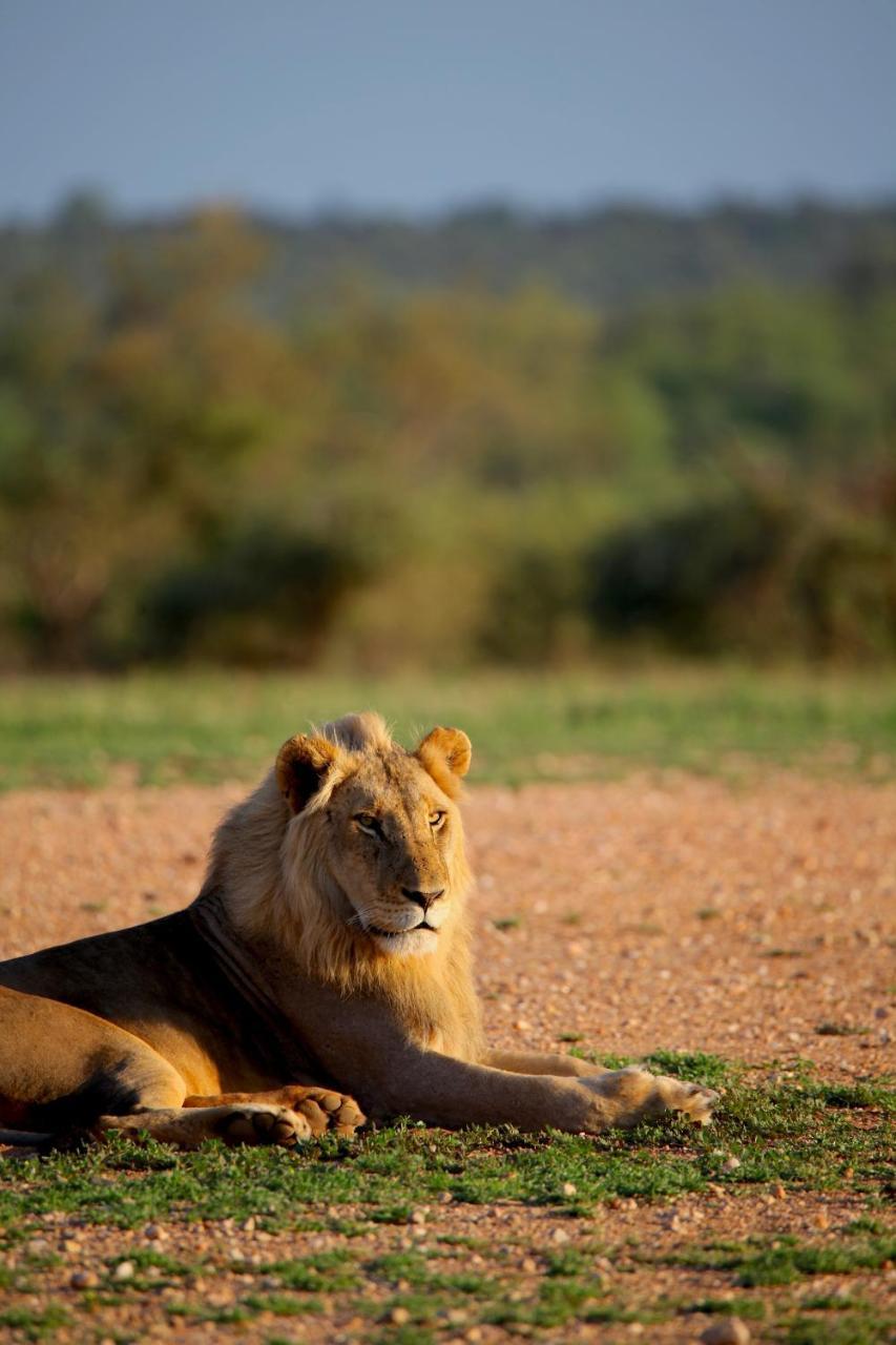 Ivory Wilderness River Rock Lodge Частный заповедник Класери Экстерьер фото