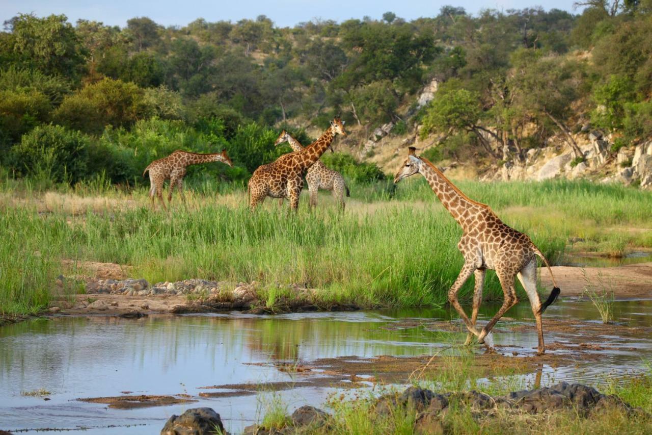 Ivory Wilderness River Rock Lodge Частный заповедник Класери Экстерьер фото