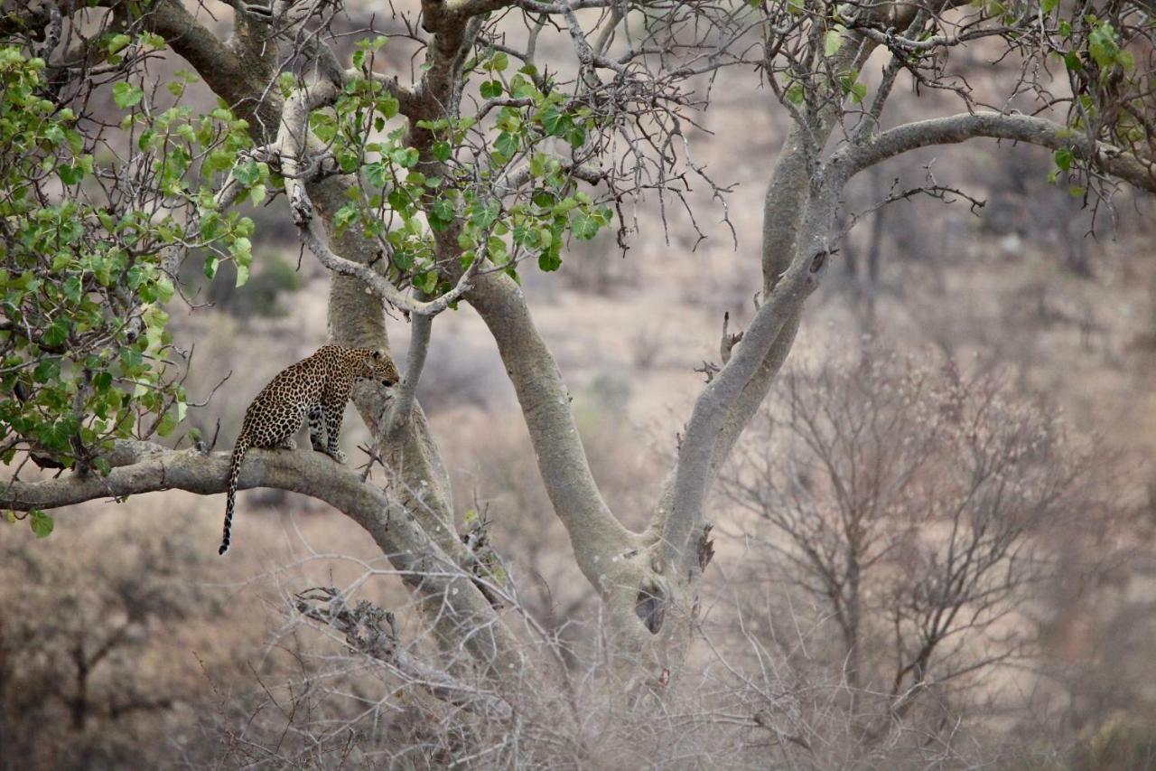 Ivory Wilderness River Rock Lodge Частный заповедник Класери Экстерьер фото