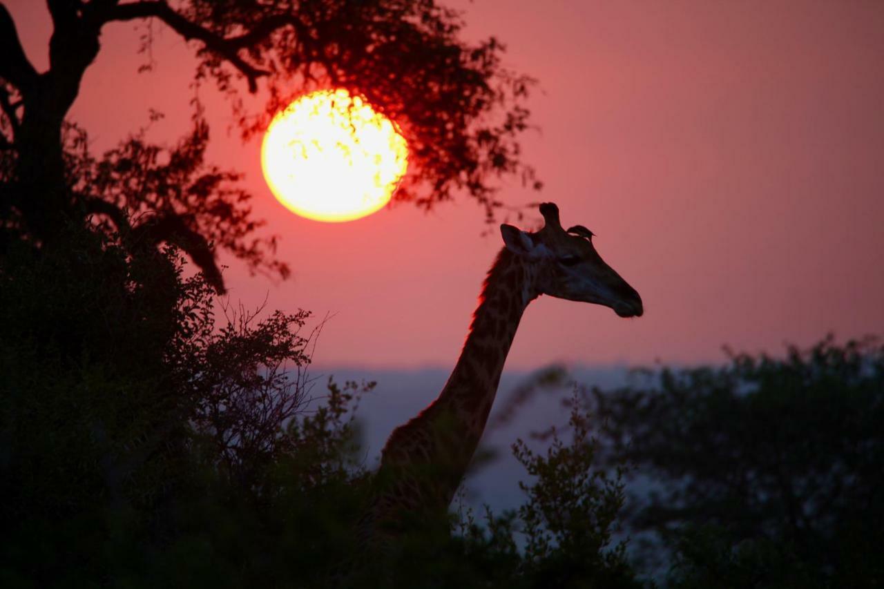 Ivory Wilderness River Rock Lodge Частный заповедник Класери Экстерьер фото