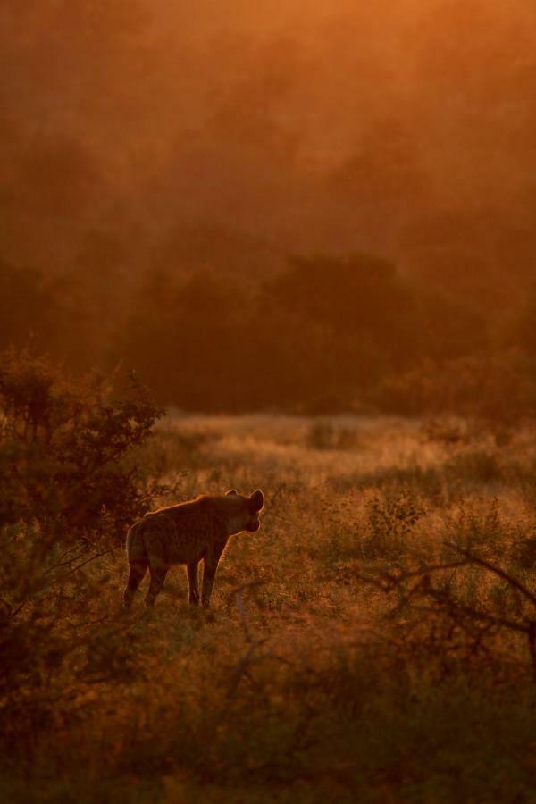 Ivory Wilderness River Rock Lodge Частный заповедник Класери Экстерьер фото